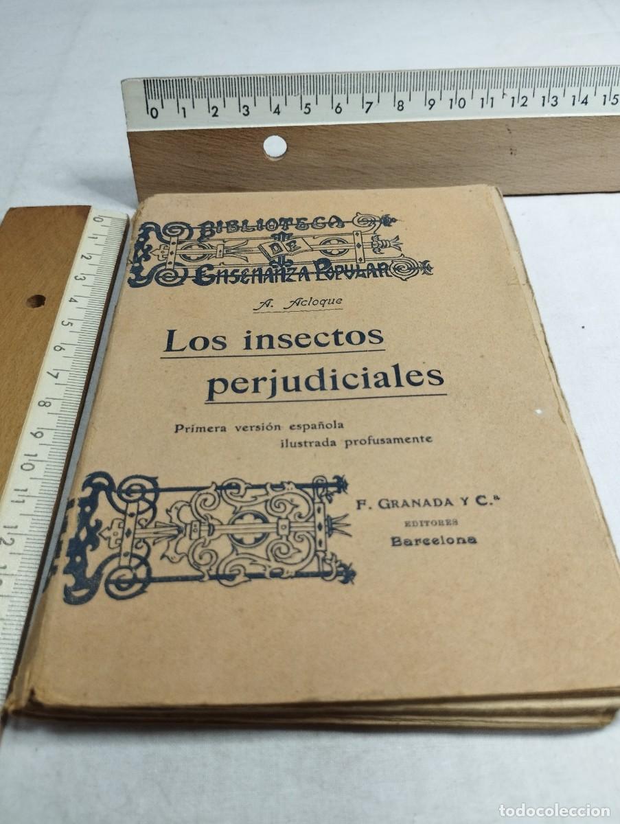 Libros de segunda mano: Los insectos perjudiciales. A. Acloque - Foto 1