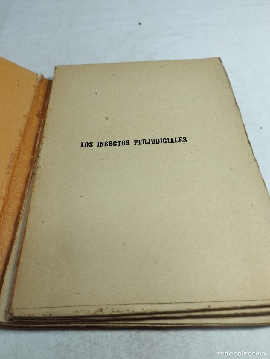 Libros de segunda mano: Los insectos perjudiciales. A. Acloque - Foto 2