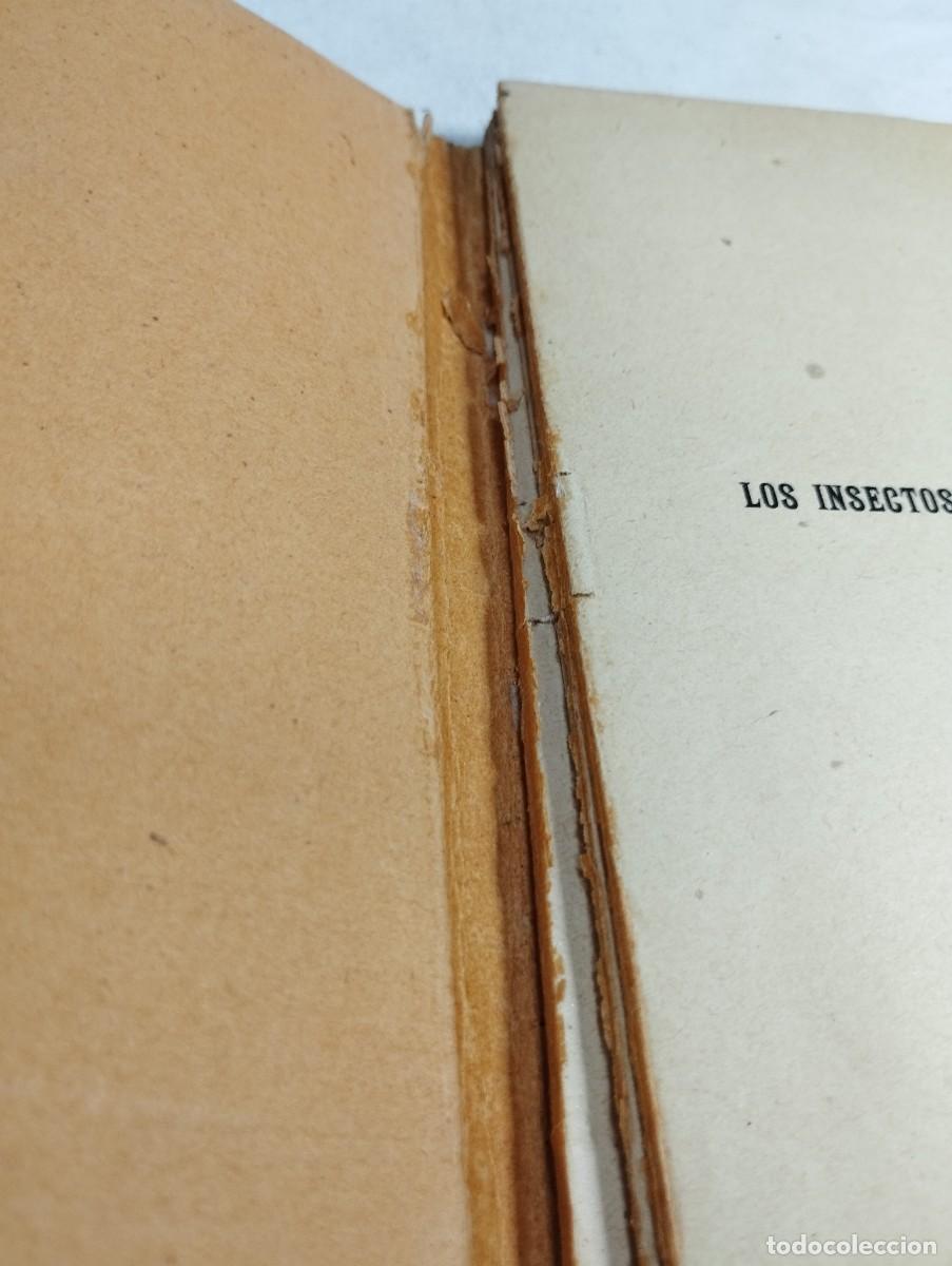 Libros de segunda mano: Los insectos perjudiciales. A. Acloque - Foto 3