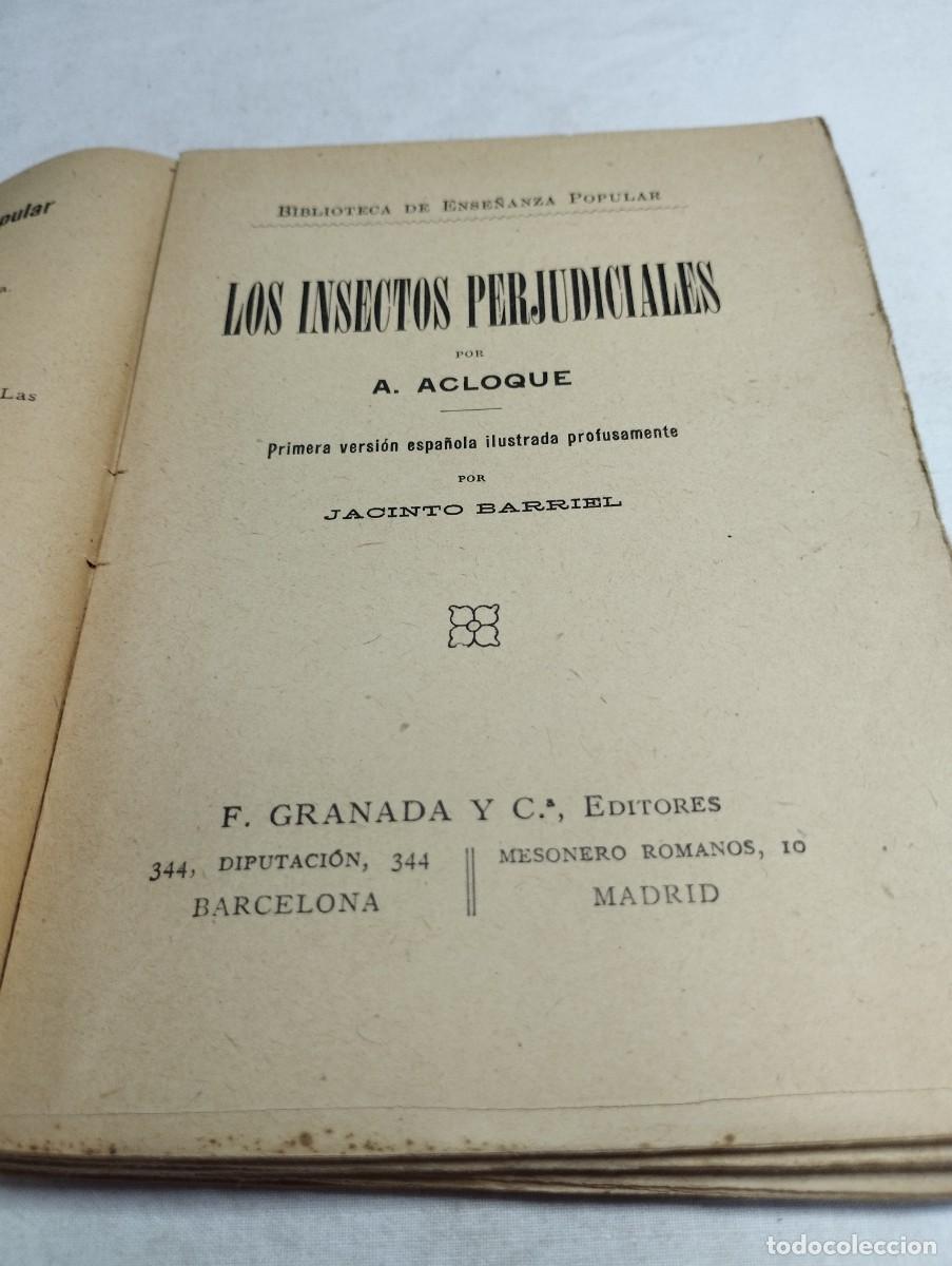 Libros de segunda mano: Los insectos perjudiciales. A. Acloque - Foto 4