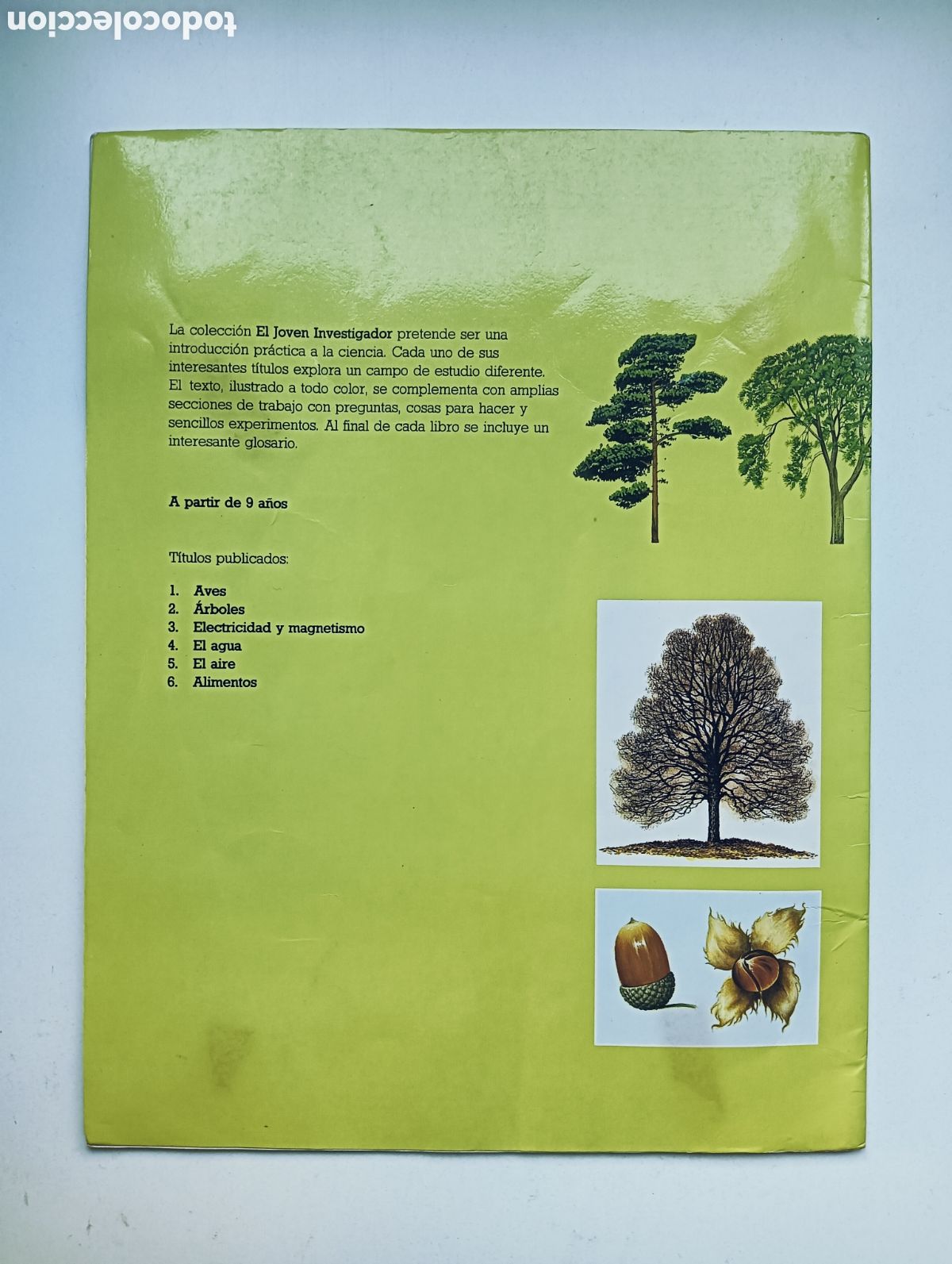 Libros de segunda mano: &Aacute;rboles. El joven naturalista. SM - Foto 2