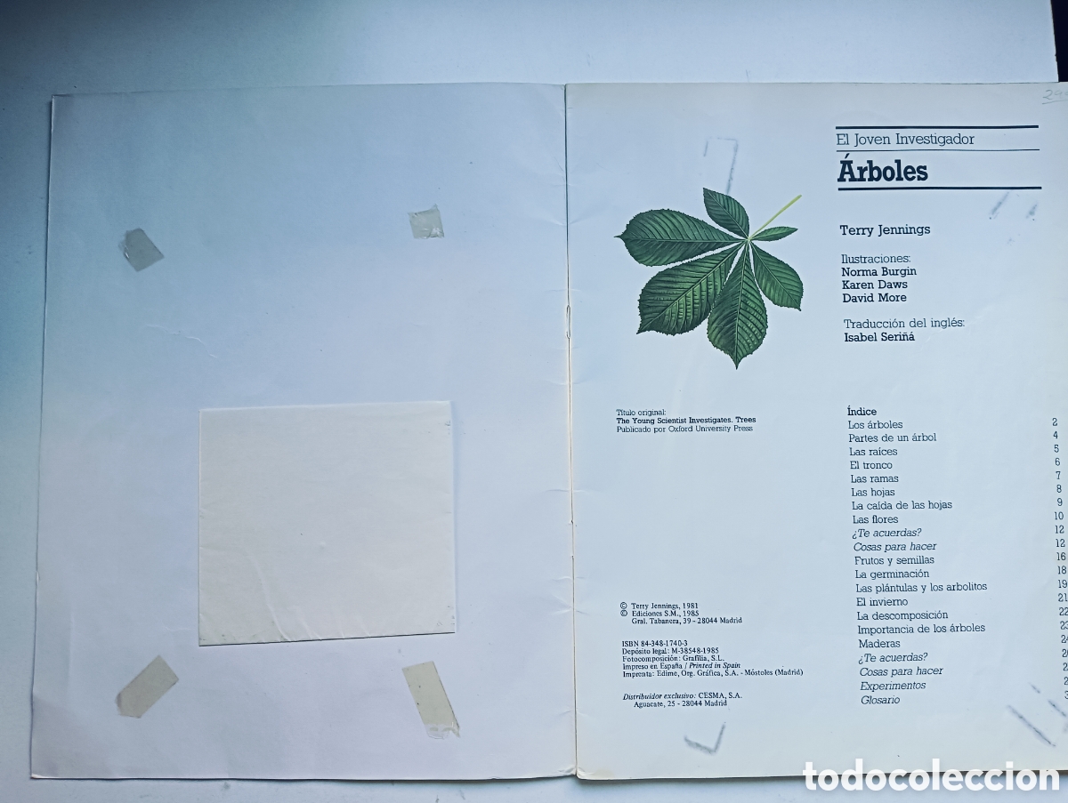 Libros de segunda mano: &Aacute;rboles. El joven naturalista. SM - Foto 3
