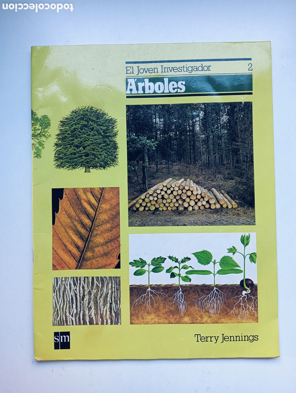 Libros de segunda mano: &Aacute;rboles. El joven naturalista. SM - Foto 1