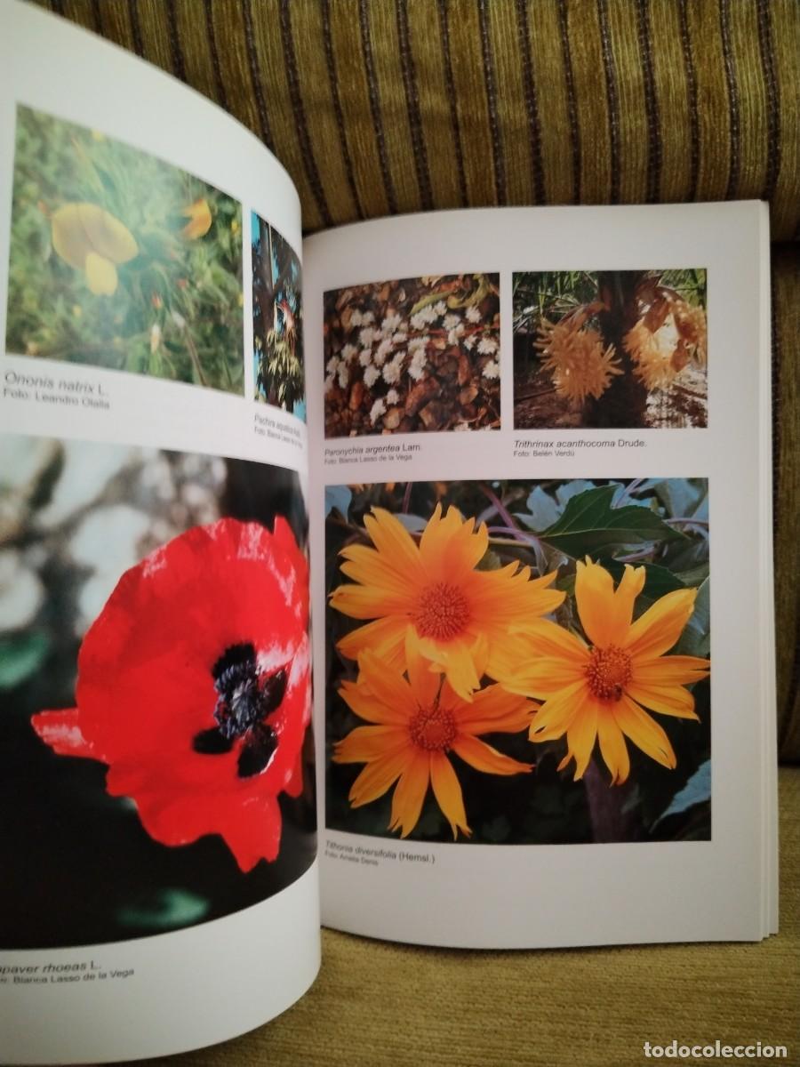 Libros de segunda mano: CAT&Aacute;LOGO DE ESPECIES - Foto 9