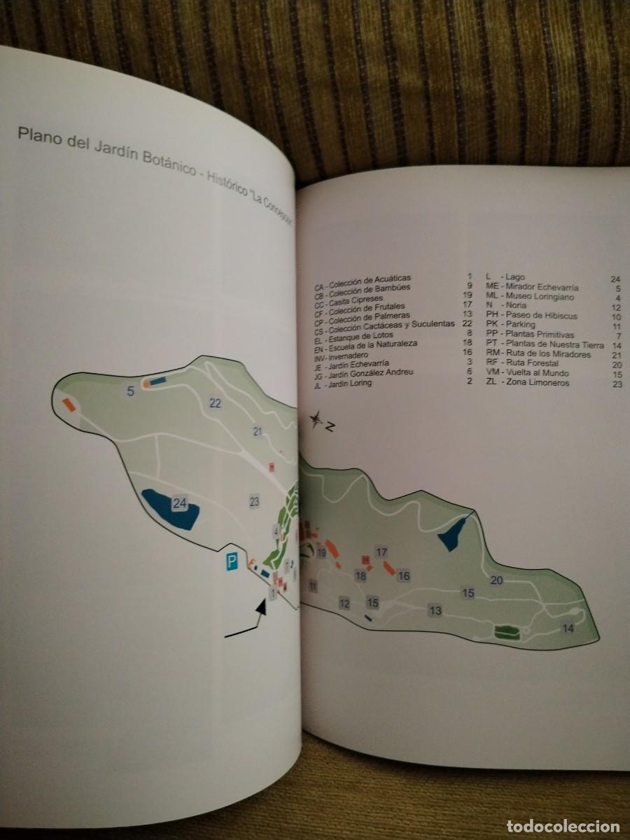 Libros de segunda mano: CAT&Aacute;LOGO DE ESPECIES - Foto 14