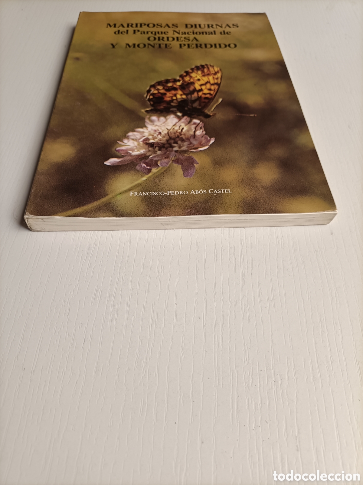 Libros de segunda mano: Mariposas diurnas del parque nacional de Ordesa y Monte Perdido. - Foto 3