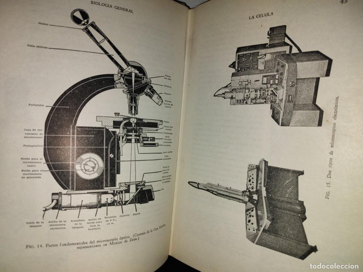 Libros de segunda mano: 100- BIOLOG&Iacute;A GENERAL - DR. JOS&Eacute; DE LILLE - 1971 - Foto 12