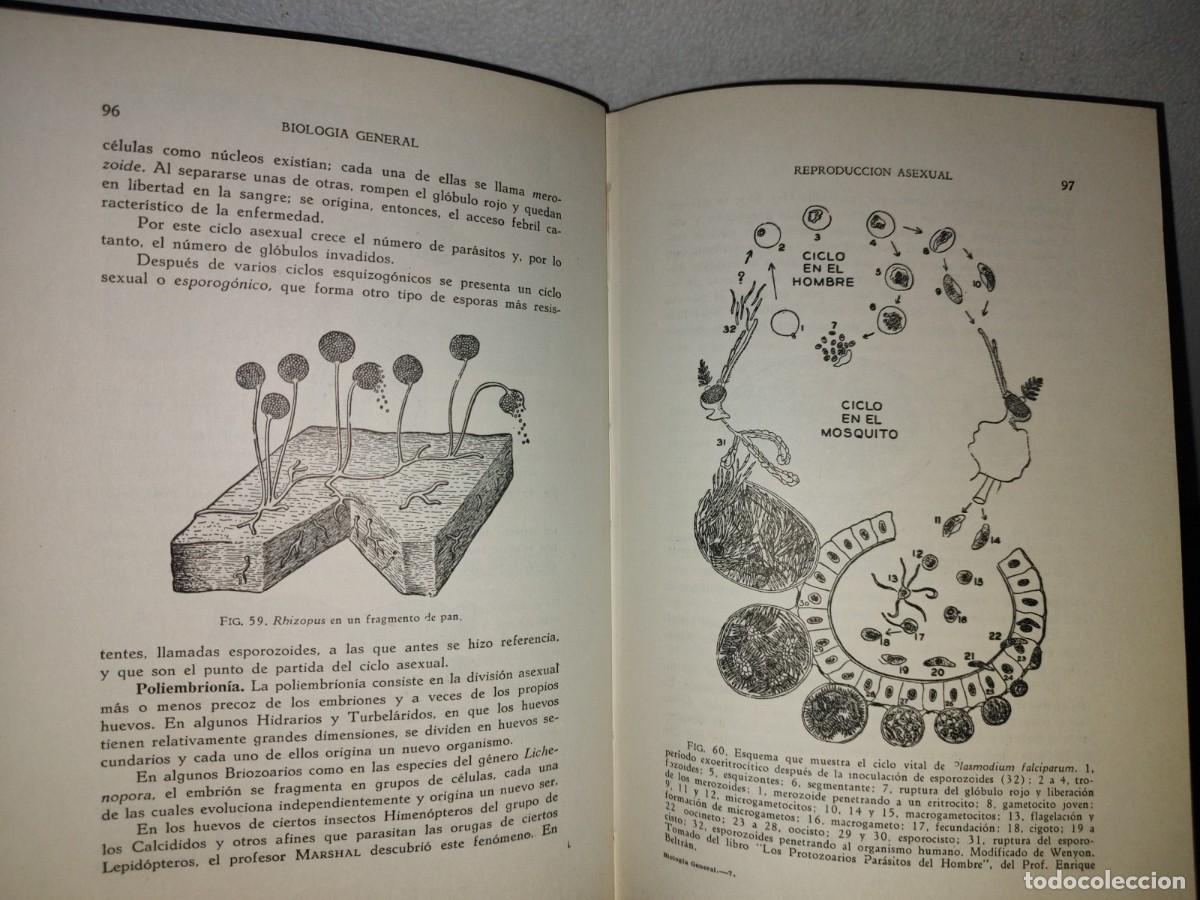 Libros de segunda mano: 100- BIOLOG&Iacute;A GENERAL - DR. JOS&Eacute; DE LILLE - 1971 - Foto 13