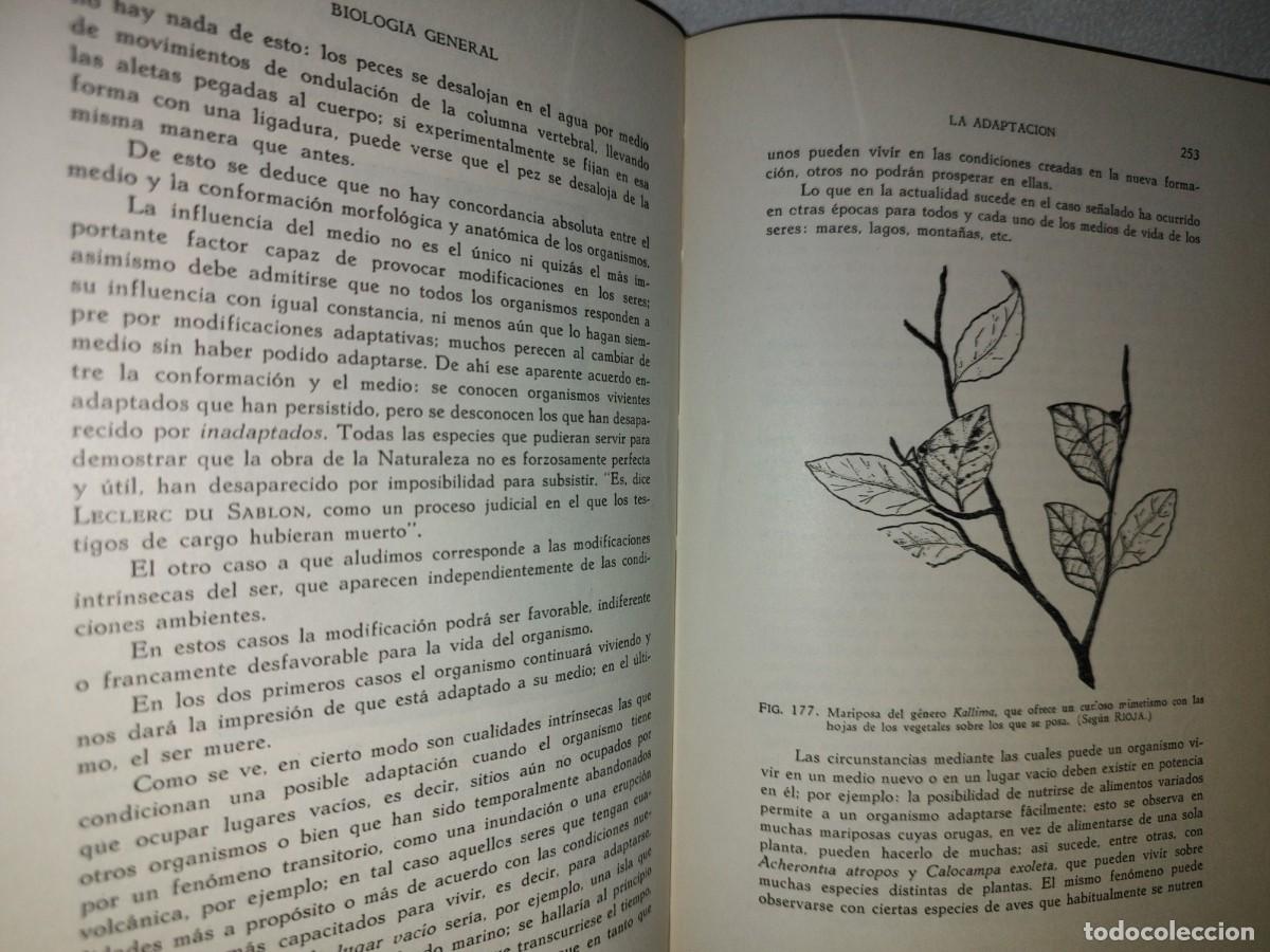 Libros de segunda mano: 100- BIOLOG&Iacute;A GENERAL - DR. JOS&Eacute; DE LILLE - 1971 - Foto 14