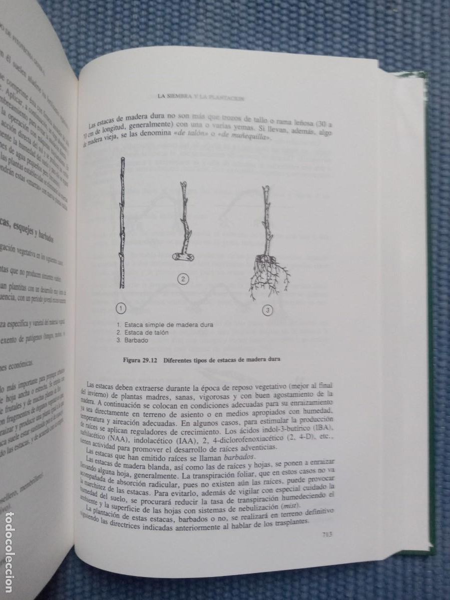 Libros de segunda mano: Tratado de Fitotecnia General - Foto 2