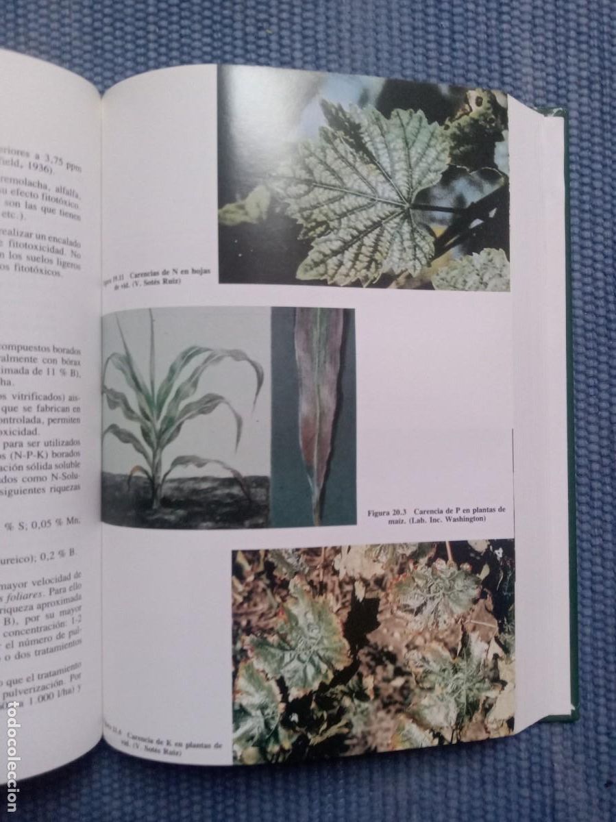 Libros de segunda mano: Tratado de Fitotecnia General - Foto 4
