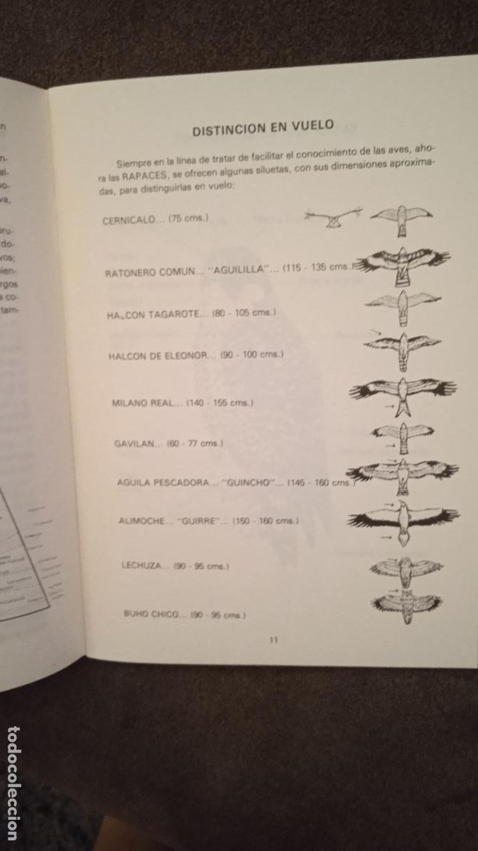 Libros de segunda mano: AVES RAPACES. AVIFAUNA CANARIA. Islas canarias - Foto 4