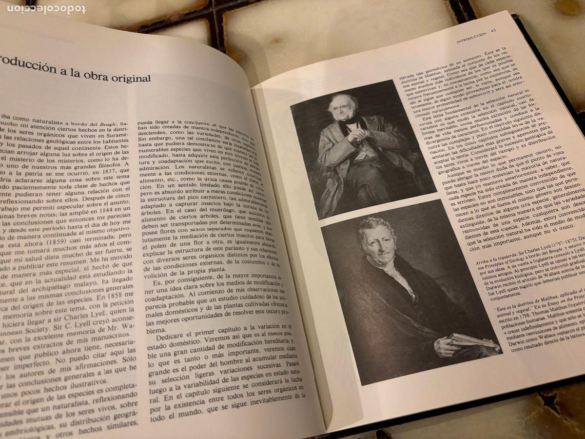 Libros de segunda mano: El origen de las especies. Charles Darwin. Versi&oacute;n abreviada e ilustrada. Richard E. Leaky. - Foto 4
