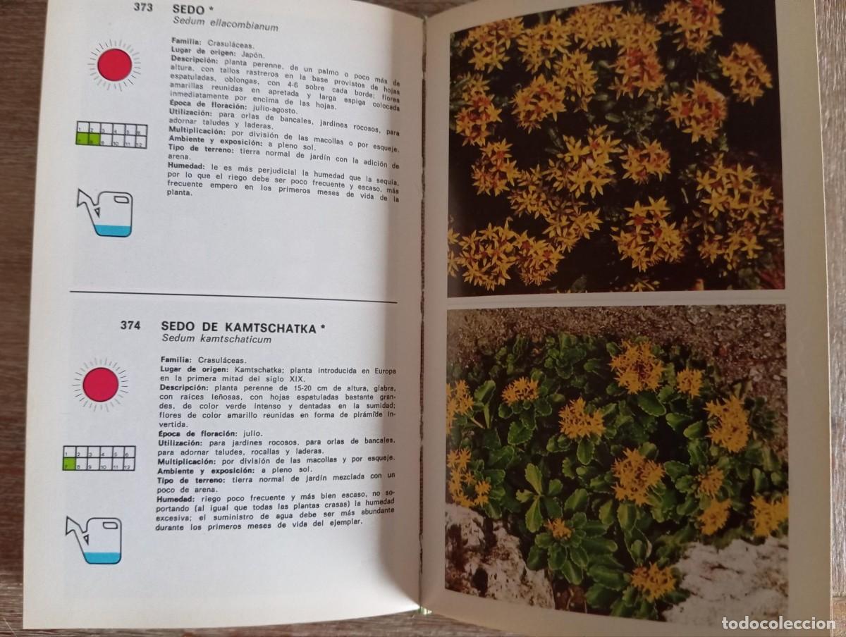 Libros de segunda mano: GUIA DE PLANTAS Y FLORES - CIRCULO DE LECTORES - Foto 2