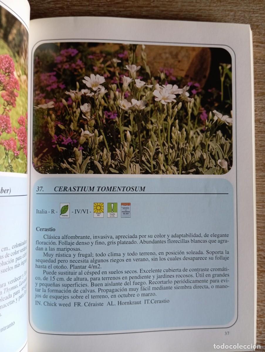 Libros de segunda mano: FLORA ORNAMENTAL MEDITERRANEA - XAVIER BELLIDO - Foto 2