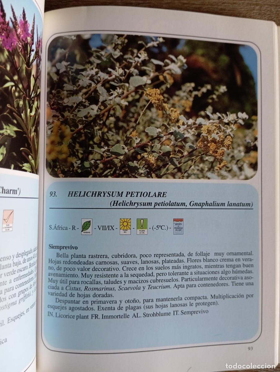 Libros de segunda mano: FLORA ORNAMENTAL MEDITERRANEA - XAVIER BELLIDO - Foto 3