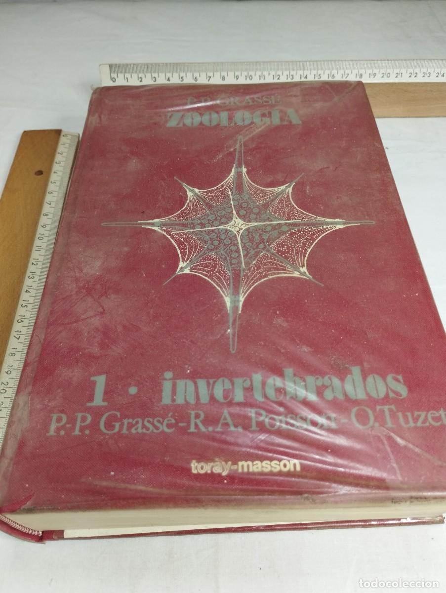 Libros de segunda mano: Zoolog&iacute;a. P. P. Grass&eacute;, 1976 - Foto 1