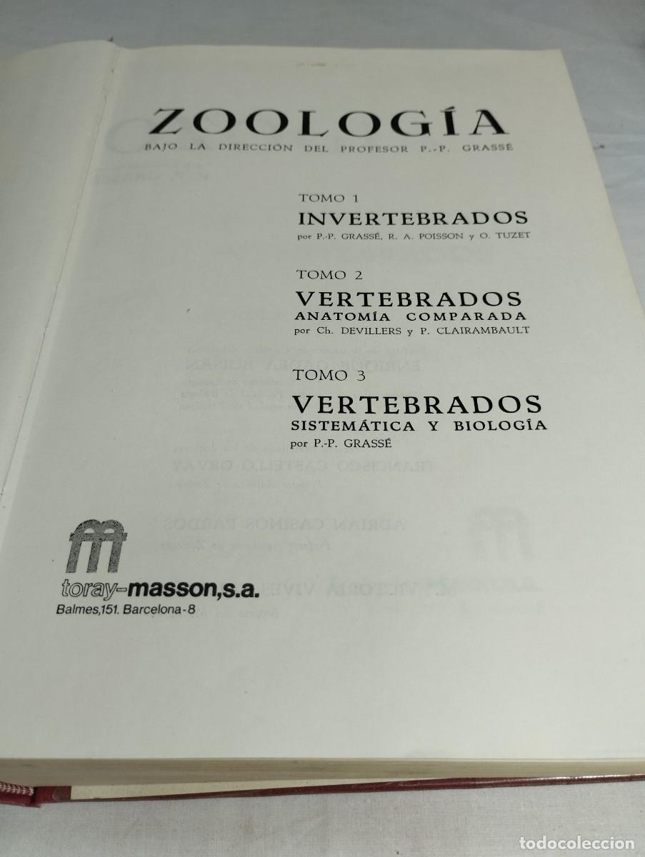 Libros de segunda mano: Zoolog&iacute;a. P. P. Grass&eacute;, 1976 - Foto 2