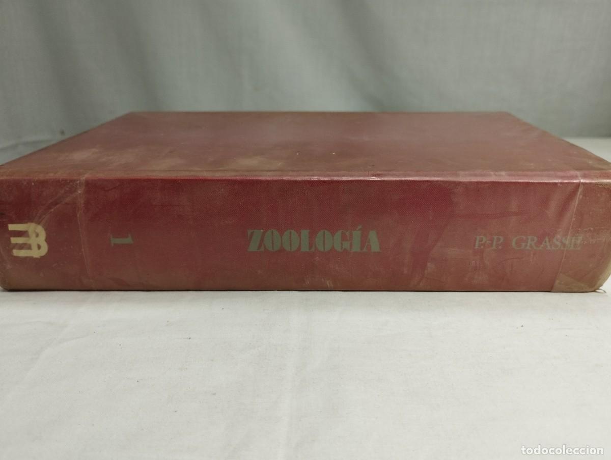 Libros de segunda mano: Zoolog&iacute;a. P. P. Grass&eacute;, 1976 - Foto 3