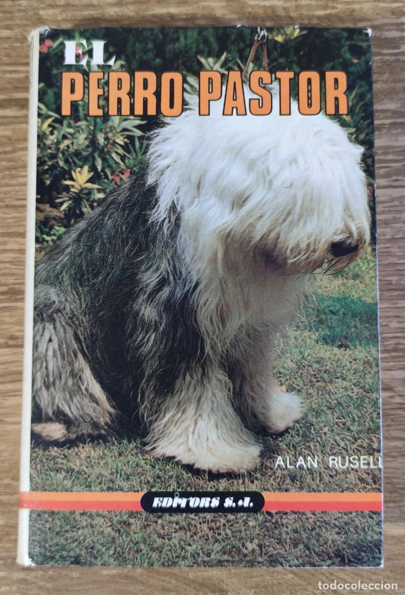 Libros de segunda mano: Libro - El perro pastor (1985) Alan Rusell - Foto 1