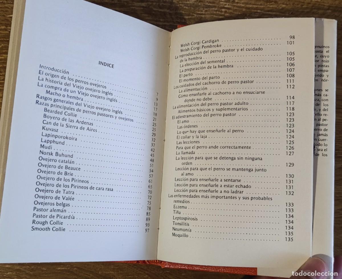 Libros de segunda mano: Libro - El perro pastor (1985) Alan Rusell - Foto 2