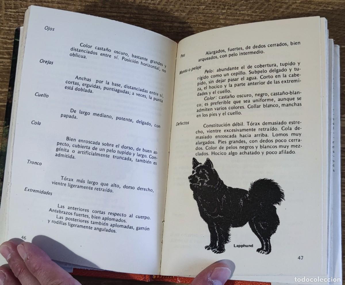 Libros de segunda mano: Libro - El perro pastor (1985) Alan Rusell - Foto 4
