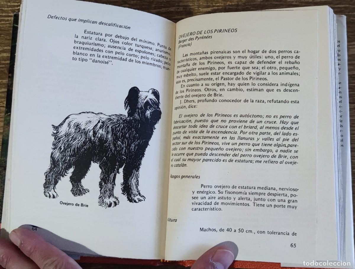 Libros de segunda mano: Libro - El perro pastor (1985) Alan Rusell - Foto 5