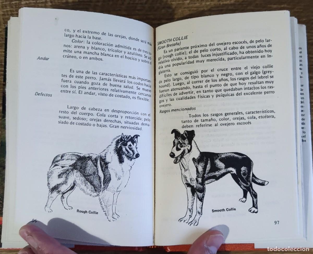 Libros de segunda mano: Libro - El perro pastor (1985) Alan Rusell - Foto 6