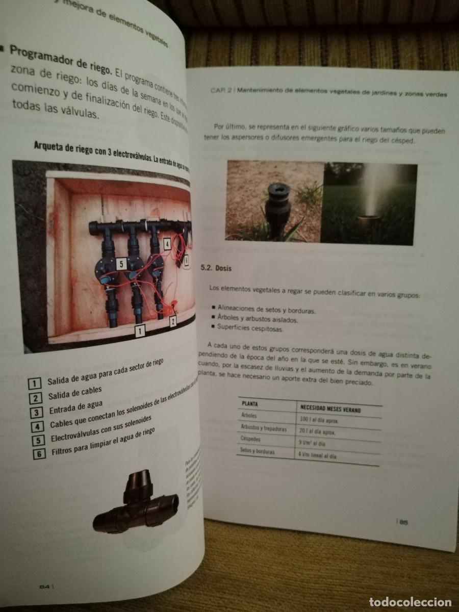 Libros de segunda mano: MANTENIMIENTO Y MEJORA DE ELEMENTOS VEGETALES - Foto 7