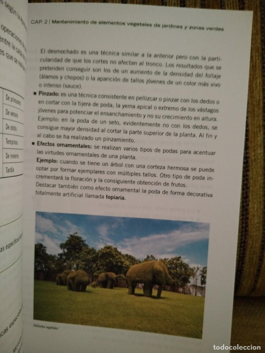 Libros de segunda mano: MANTENIMIENTO Y MEJORA DE ELEMENTOS VEGETALES - Foto 11