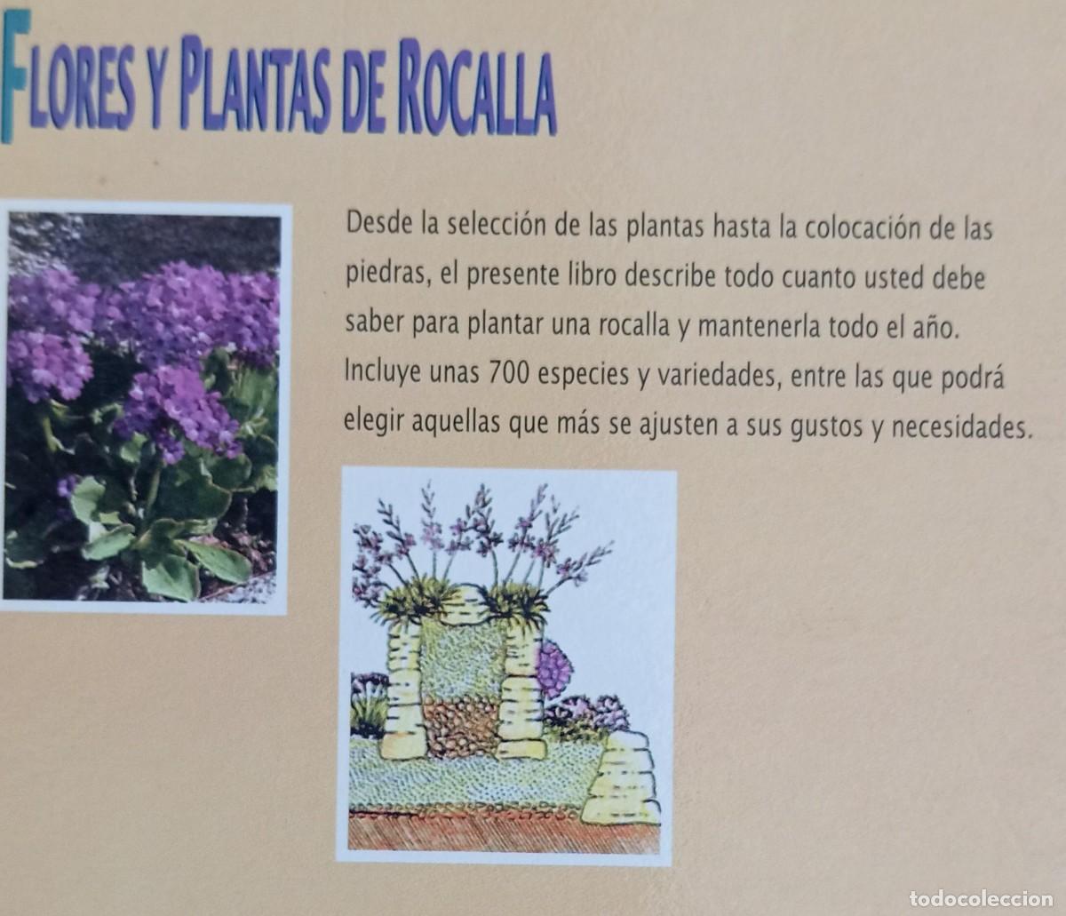 Libros de segunda mano: FLORES Y PLANTAS DE ROCALLA - ROBERT FRITSCH - Foto 2