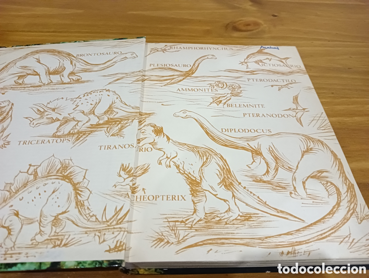 Libros de segunda mano: Geolog&iacute;a. Aime Rudel - Foto 2