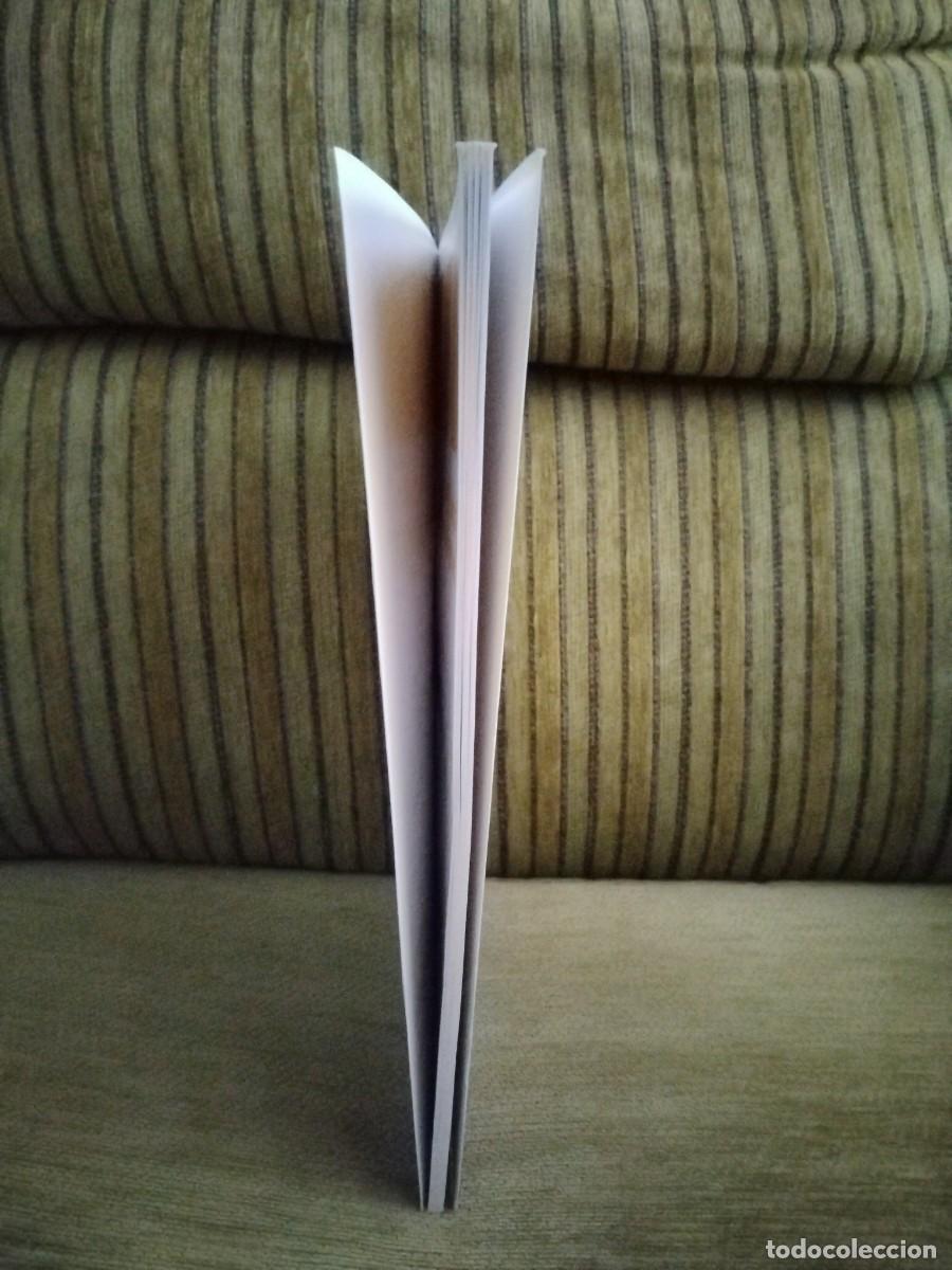 Libros de segunda mano: MANTENIMIENTO Y MEJORA DE ELEMENTOS NO VEGETALES - Foto 5