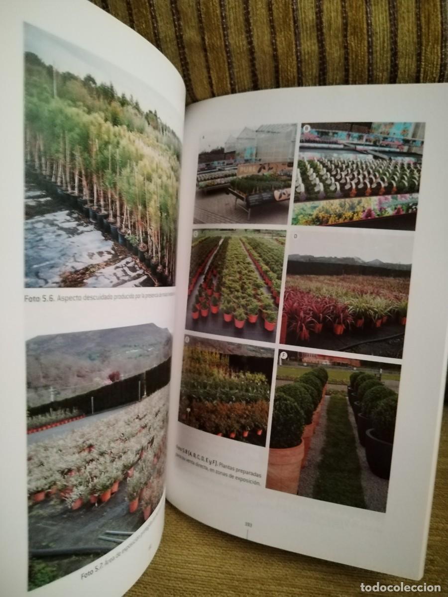 Libros de segunda mano: OPERACIONES B&Aacute;SICAS EN VIVEROS Y CENTROS DE JARDINER&Iacute;A - Foto 10