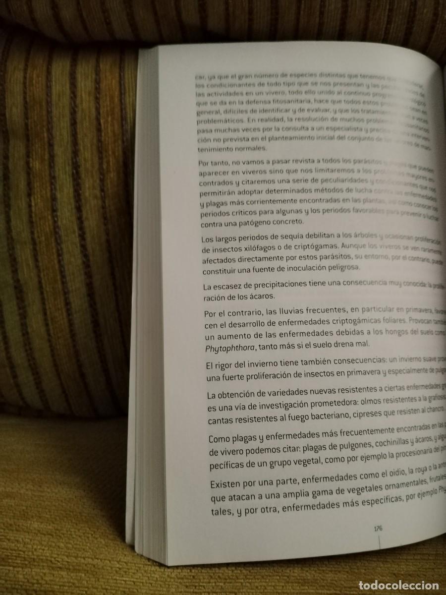 Libros de segunda mano: OPERACIONES B&Aacute;SICAS EN VIVEROS Y CENTROS DE JARDINER&Iacute;A - Foto 11