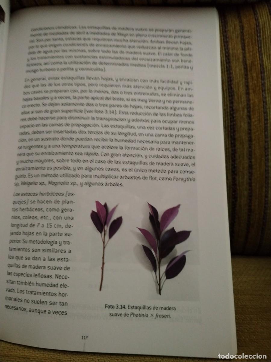 Libros de segunda mano: OPERACIONES B&Aacute;SICAS EN VIVEROS Y CENTROS DE JARDINER&Iacute;A - Foto 12