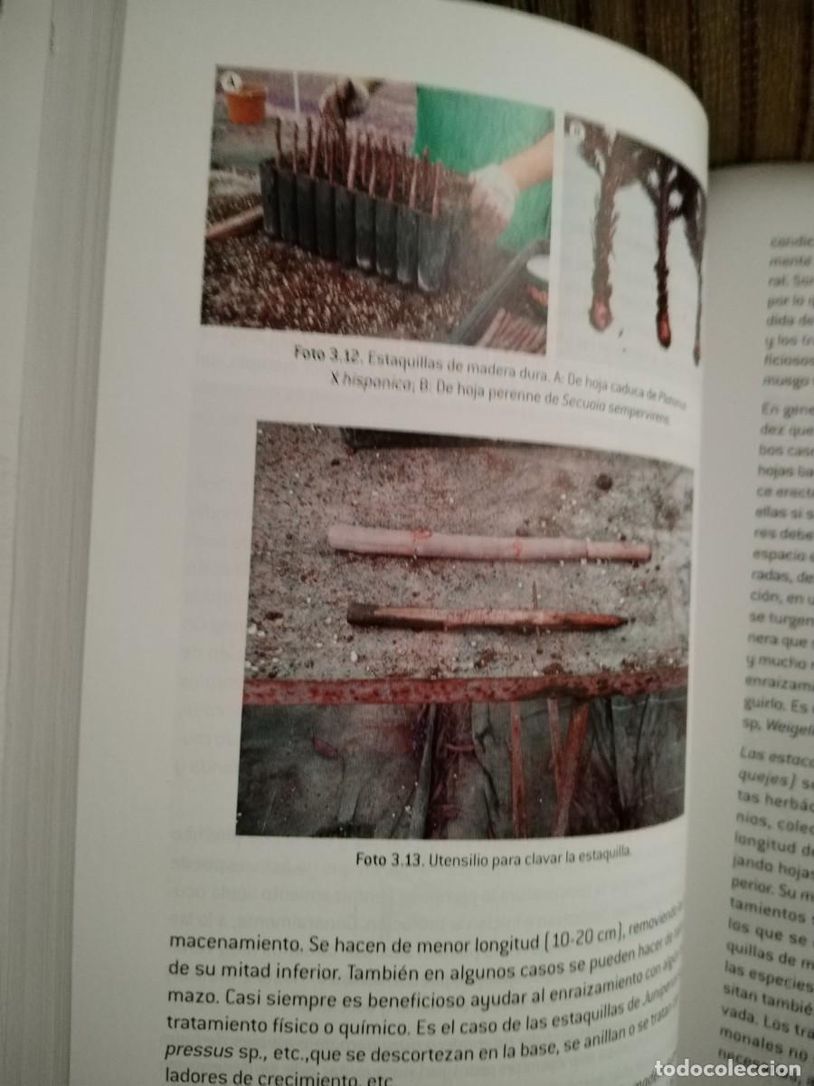 Libros de segunda mano: OPERACIONES B&Aacute;SICAS EN VIVEROS Y CENTROS DE JARDINER&Iacute;A - Foto 13