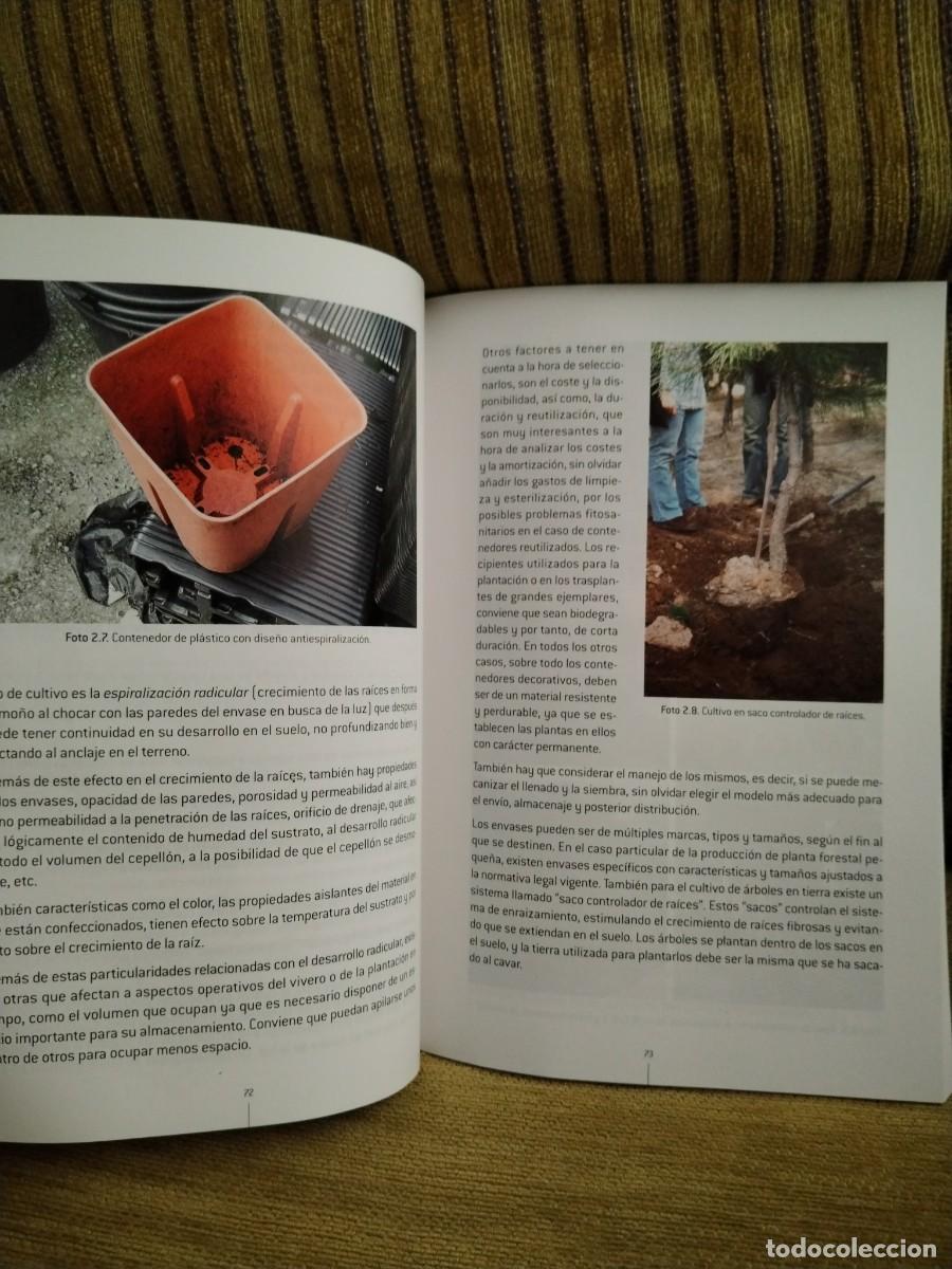 Libros de segunda mano: OPERACIONES B&Aacute;SICAS EN VIVEROS Y CENTROS DE JARDINER&Iacute;A - Foto 14