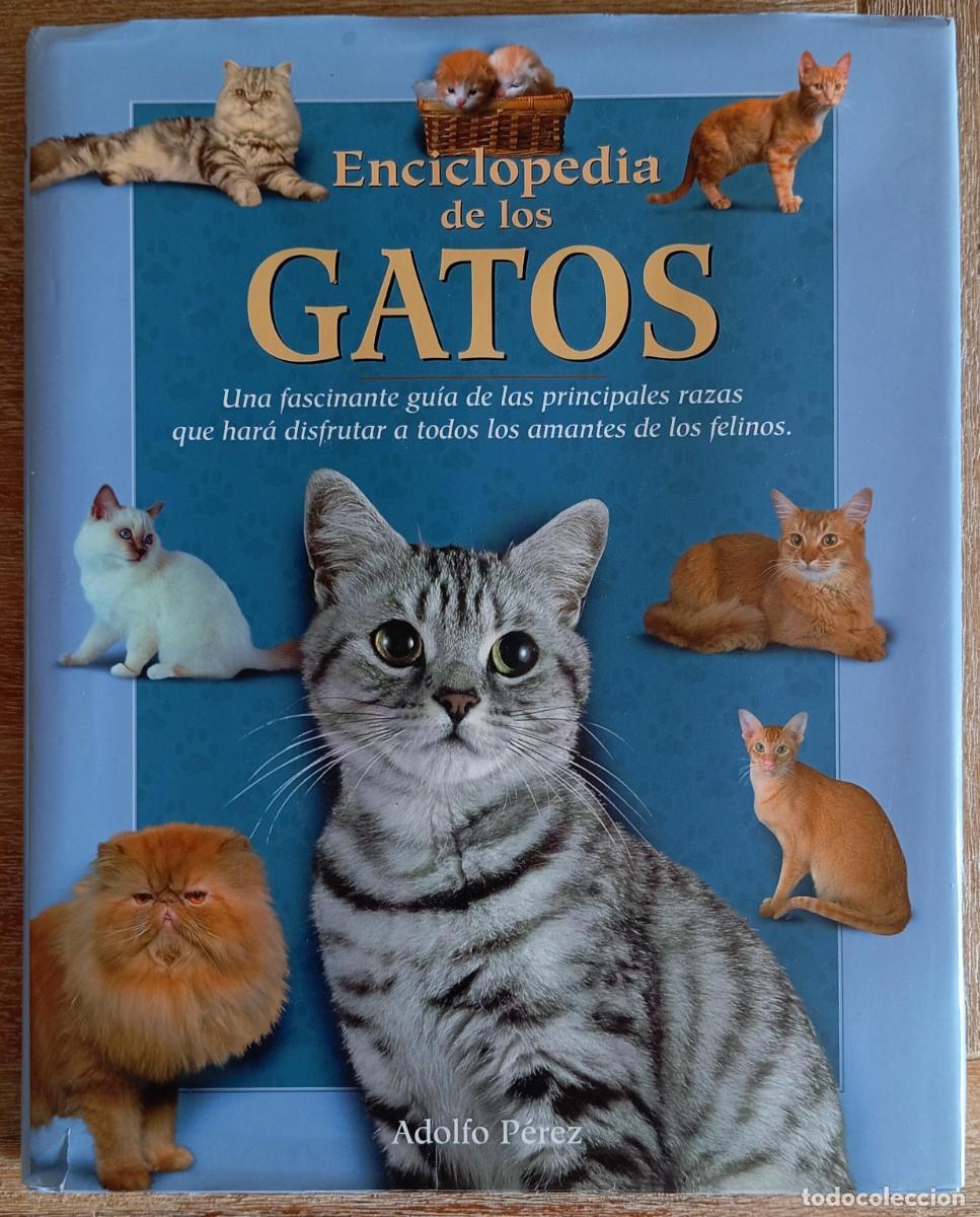 Libros de segunda mano: ENCICLOPEDIA DE LOS GATOS - ADOLFO PEREZ - Foto 1