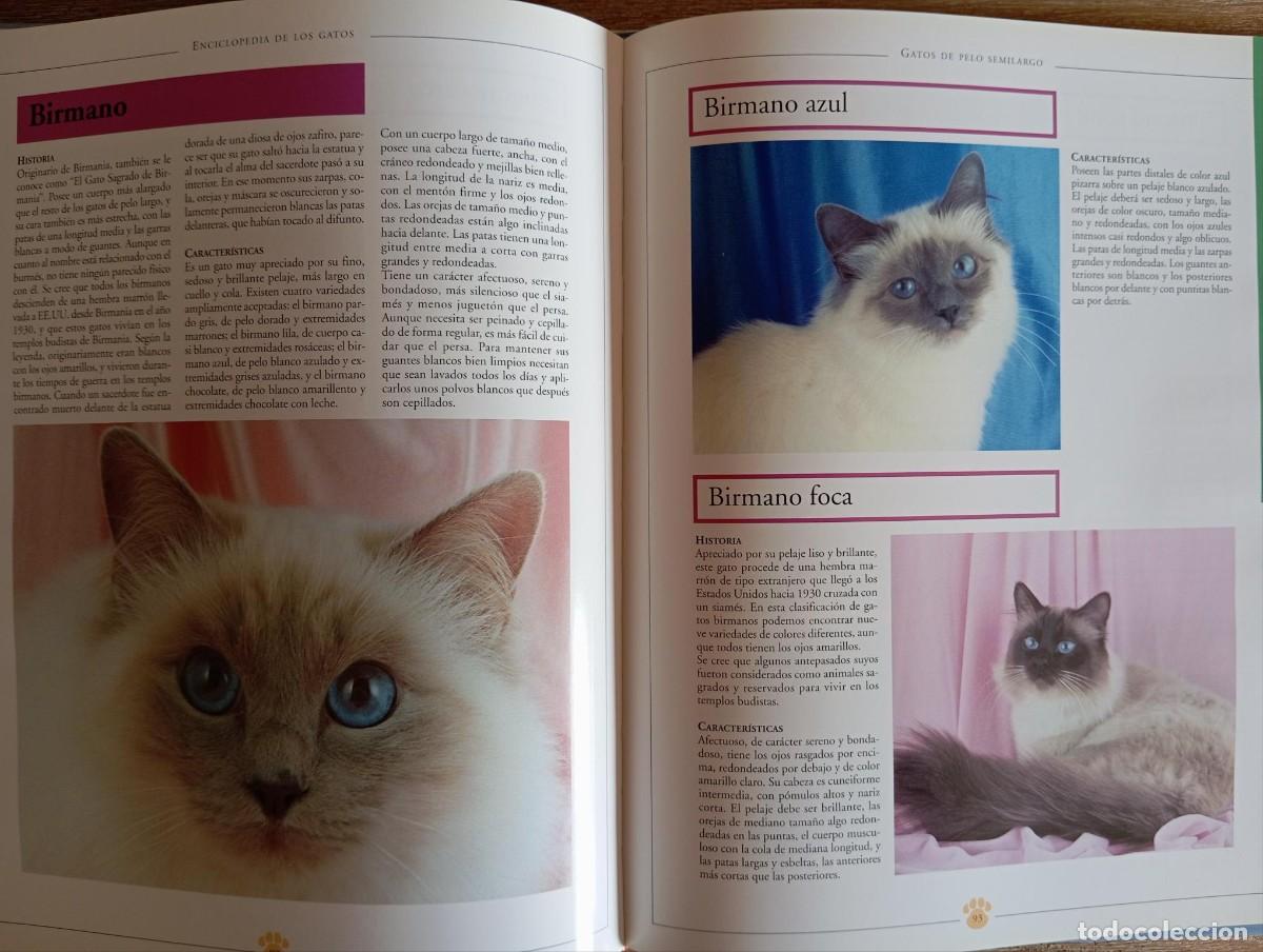 Libros de segunda mano: ENCICLOPEDIA DE LOS GATOS - ADOLFO PEREZ - Foto 2