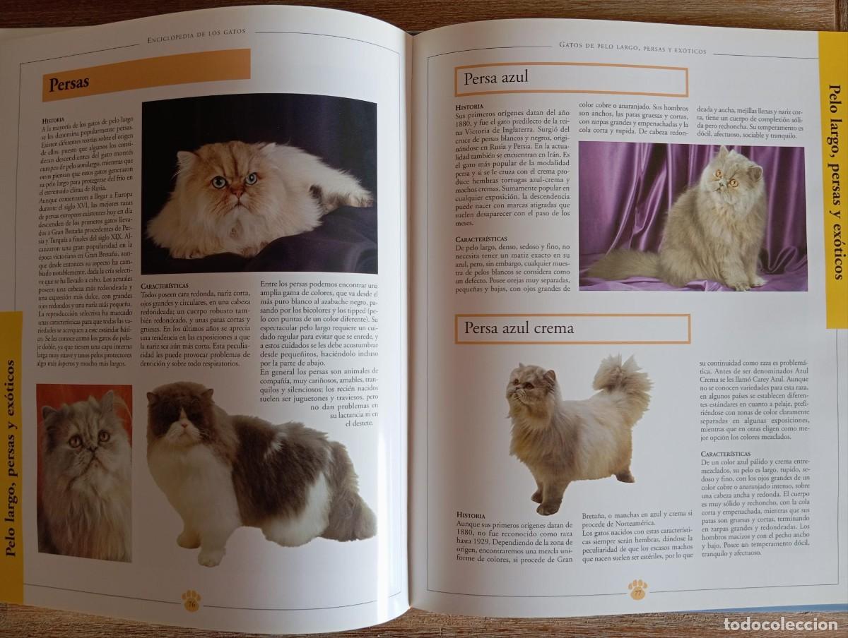 Libros de segunda mano: ENCICLOPEDIA DE LOS GATOS - ADOLFO PEREZ - Foto 3