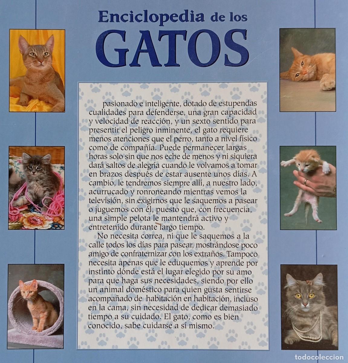 Libros de segunda mano: ENCICLOPEDIA DE LOS GATOS - ADOLFO PEREZ - Foto 4