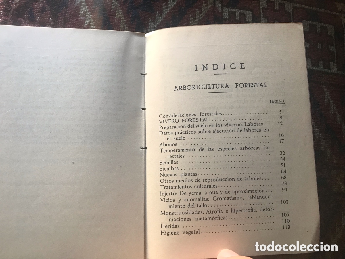 Libros de segunda mano: Arboricultura forestal. Ignacio Claver Correa. 1949. - Foto 4