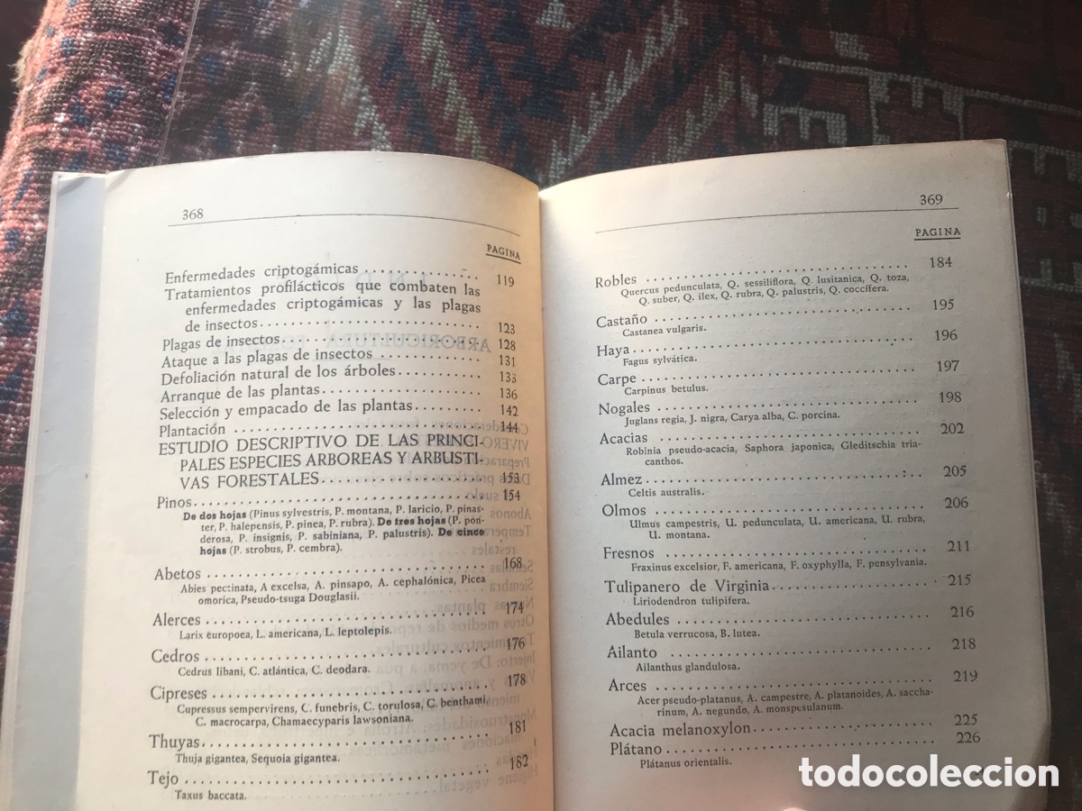Libros de segunda mano: Arboricultura forestal. Ignacio Claver Correa. 1949. - Foto 5