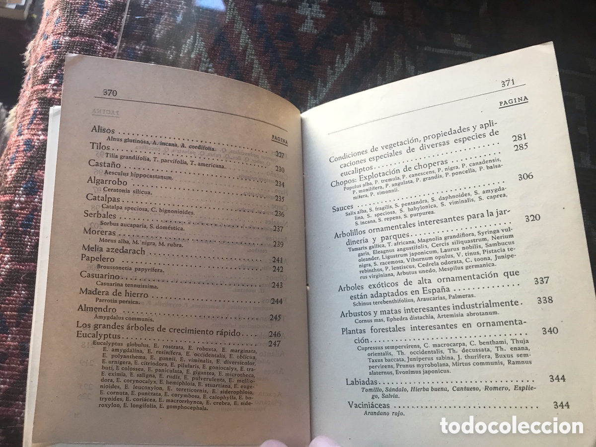 Libros de segunda mano: Arboricultura forestal. Ignacio Claver Correa. 1949. - Foto 6