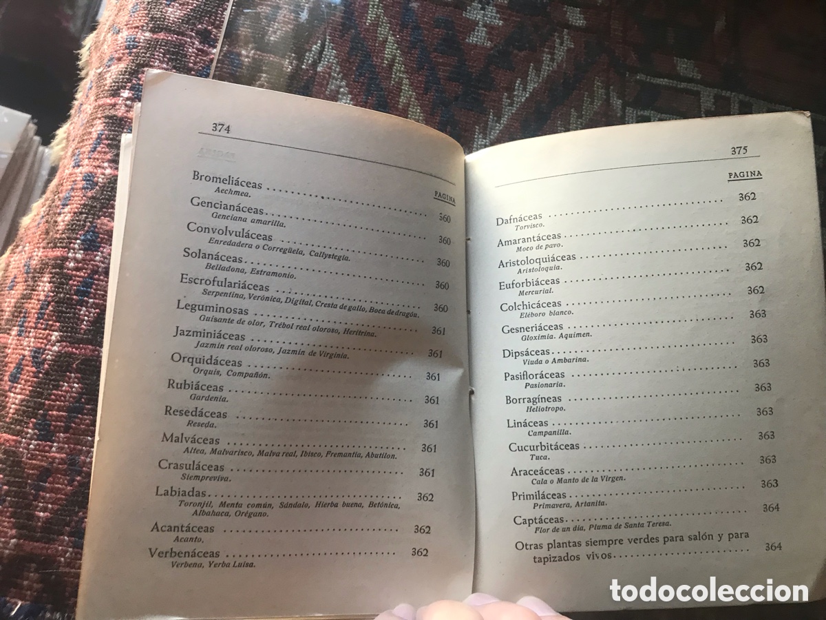 Libros de segunda mano: Arboricultura forestal. Ignacio Claver Correa. 1949. - Foto 8