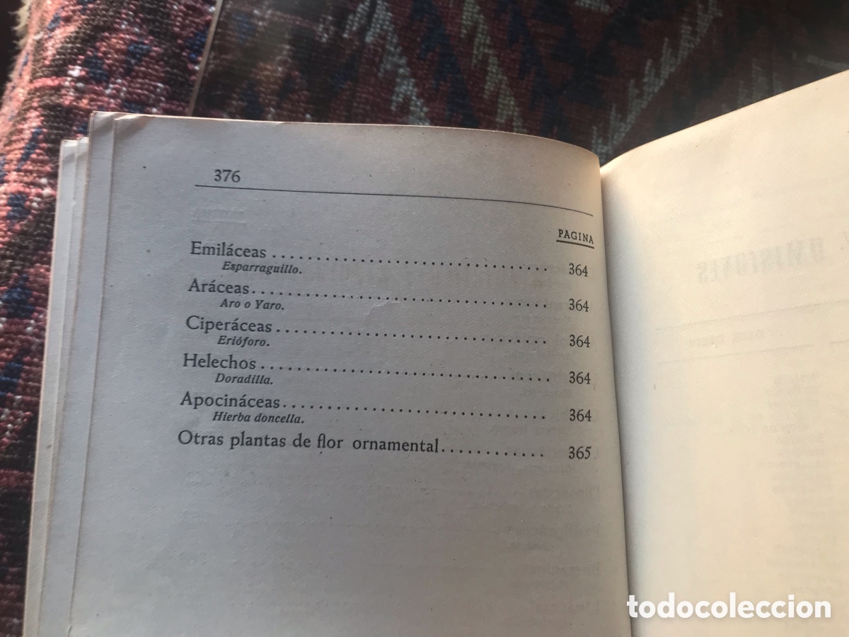 Libros de segunda mano: Arboricultura forestal. Ignacio Claver Correa. 1949. - Foto 9