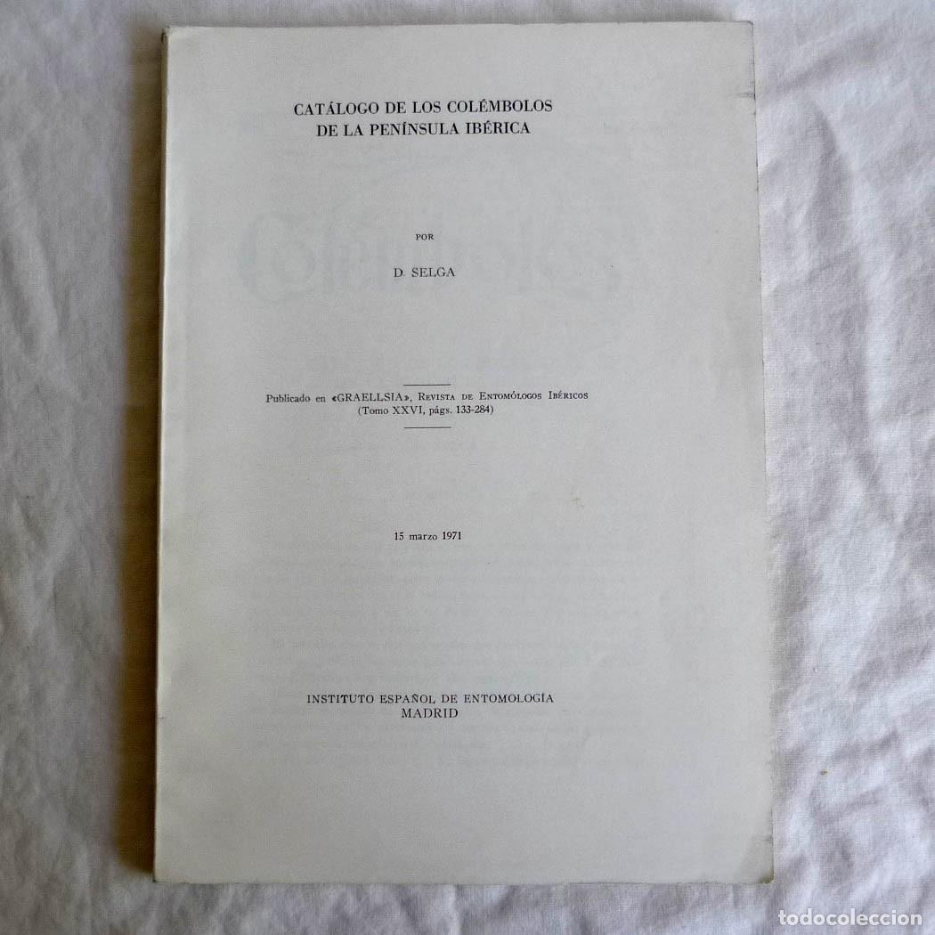 Libros de segunda mano: Cat&aacute;logo de los col&eacute;mbolos de la Pen&iacute;nsula Ib&eacute;rica D. Selga 1971 - Foto 1