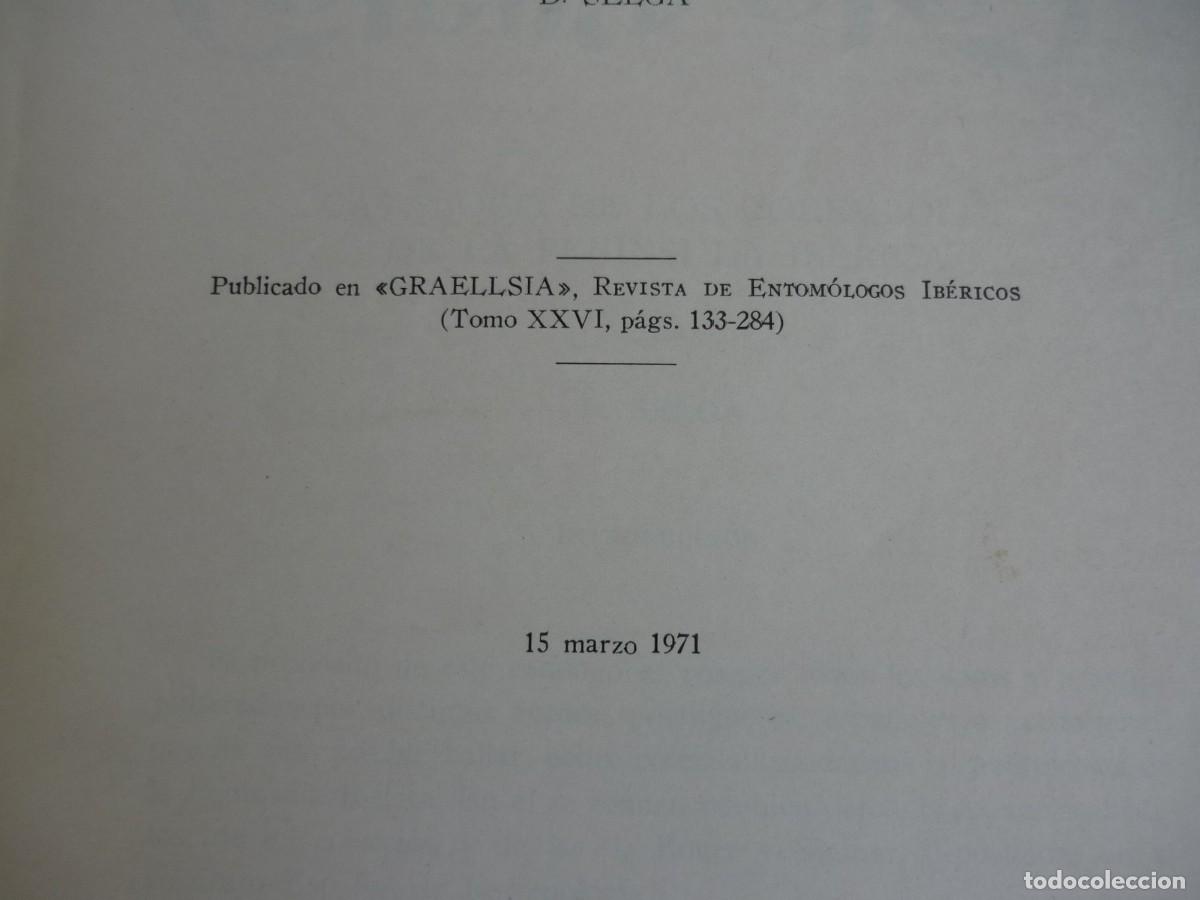 Libros de segunda mano: Cat&aacute;logo de los col&eacute;mbolos de la Pen&iacute;nsula Ib&eacute;rica D. Selga 1971 - Foto 2