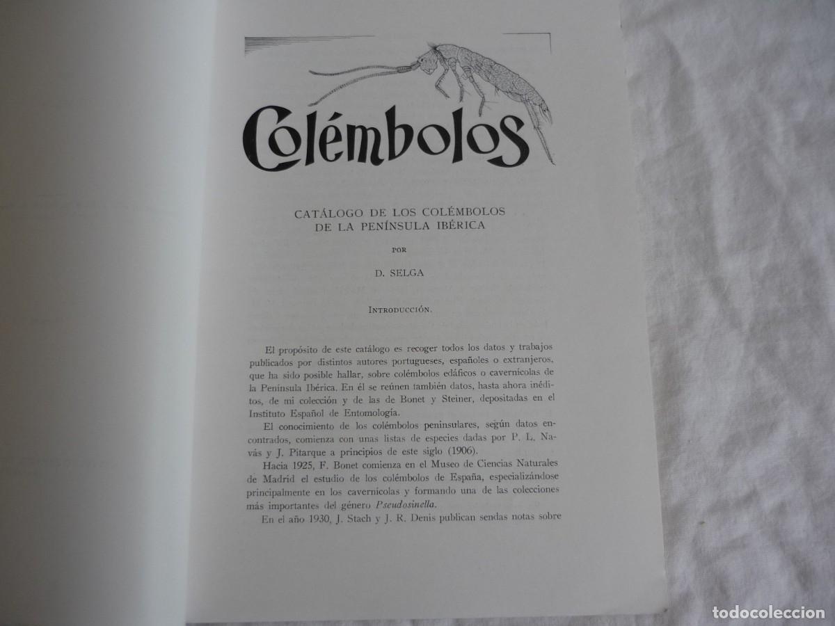 Libros de segunda mano: Cat&aacute;logo de los col&eacute;mbolos de la Pen&iacute;nsula Ib&eacute;rica D. Selga 1971 - Foto 3